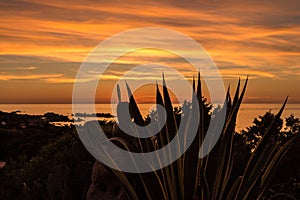 Evening light at sardinia beach