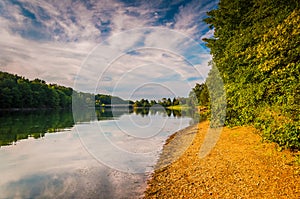 Evening light on the shore of Lake Marburg, in Codorus State Par