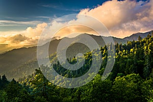 Evening light on the Smokies, seen from an overlook on Newfound