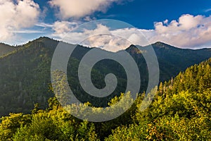 Evening light on the Smokies, seen from an overlook on Newfound photo