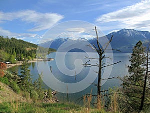 Evening Light on Southern Kootenay Lake and Darkwood Ecological Reserve, British Columbia photo