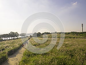 Evening lights over Hanuel Park, a part of Wolrd Cup Park