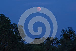 Evening of the lunar eclipse