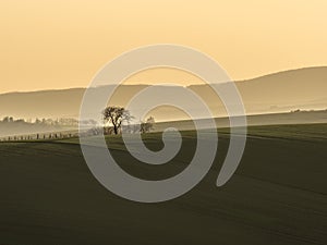 Evening Mist across the hills