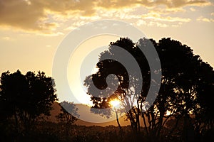 Evening mood at Coromandel