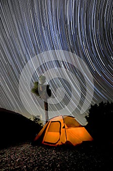 Evening Night Under the Star Trails in Joshua Tree National Park