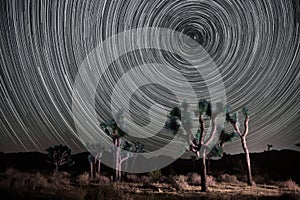 Evening Night Under the Star Trails in Joshua Tree National Park