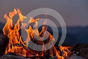 Evening Open Fire Flame Outdoors. Selective Focus