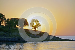 Evening over the sea. Colorful sunset. The bright red sun sets over the mountain in the clouds. The silhouette of the olive tree.