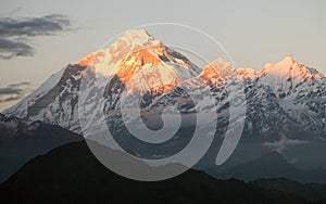 Evening panora of mount Dhaulagiri - Nepal photo