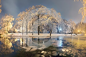 Evening park after snowfall