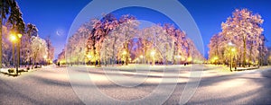 Evening park after snowfall