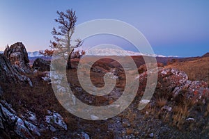 Evening path through a mountain gorge on the background of sunset snowy mountains. Hiking path. Spectacular view of distant giant