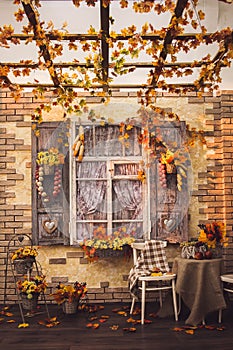 Evening patio. Window with vintage shutters