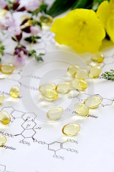 Evening primrose and capsules