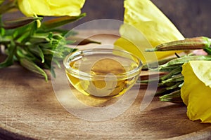 Evening primrose oil in a bowl with fresh blooming evening primrose