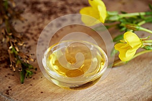 Evening primrose oil in a bowl with fresh blooming evening primrose plant