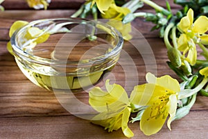 Evening primrose oil with evening primrose flowers