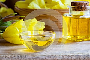 Evening primrose oil with fresh blooming evening primrose