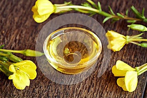 Evening primrose oil with fresh blooming evening primrose plant