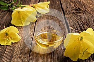 Evening primrose oil and fresh blooming plant