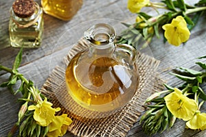 Evening primrose oil with fresh evening primrose flowers