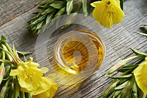 Evening primrose oil with fresh evening primrose flowers