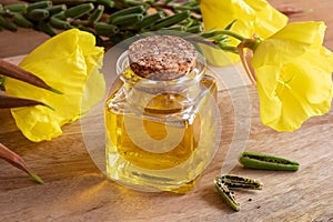 Evening primrose oil with fresh evening primrose flowers and see