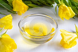 Evening primrose oil with fresh evening primrose plant