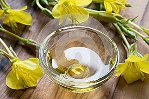 Evening primrose oil in a glass bowl on a dark background