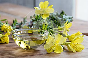 Evening primrose oil in a glass bowl photo