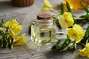 Evening primrose oil - healthy nutritional supplement