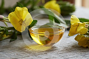 Evening primrose oil with Oenothera biennis flowers