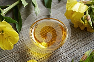 Evening primrose oil, top view