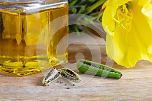 Evening primrose pods, seeds, oil and flowers