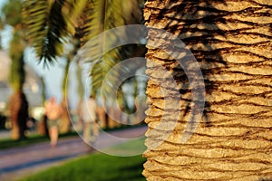 Evening in a public park