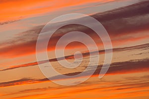 Evening red sunset texture