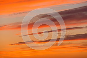 Evening red sunset texture