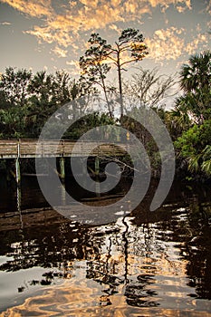 Evening Reflections in the Park