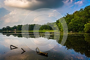 Evening reflections in a swampy area of Lake Pinchot, Gifford Pi