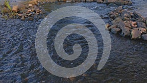 Evening on the river. Stream of river with swimming leaves and wet stones around in Autumn