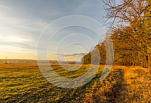 Evening scene of autumn field next to trees during sunset