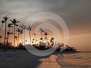 Evening sea shoreline of Dominican Punta Cana with palm tree silhouettes and setting sun