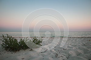 Evening seascape with dramatic sky and grass on beach. Summer nature. Scenic sunset sky over island beach. Tranquility concept.