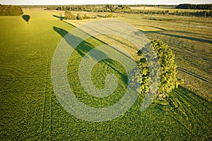 Evening shadow of air balloon