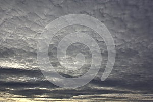 Evening sky with light cirrus clouds