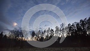 Evening sky over forest