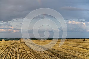 Evening sky over a sloping wheat field with large rolls of straw