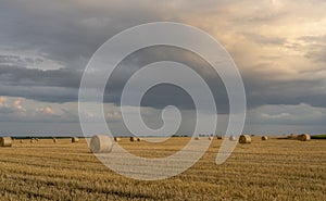 Evening sky over a sloping wheat field with large rolls of straw