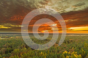 The evening sky over the vast forest plain.